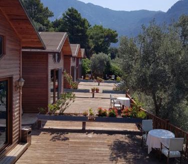Kabak Valley Bed & Breakfast | Kabak Armes Otel