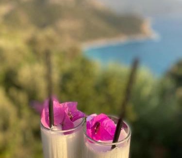 Kabak Valley Bed & Breakfast | Kabak Armes Otel