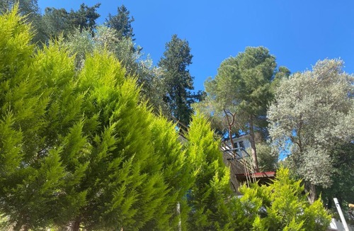 Fethiye Apartment | Kaktus Suites 2