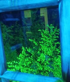 Kocasinan Bed & Breakfast | KALE-İBALA PALAM OTEL Cafe