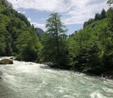 Ayder House | Kaledome Eco Mountain Resort
