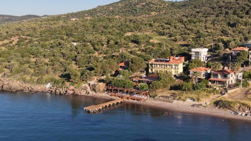 Ayvacik Hotel | Limonata Assos