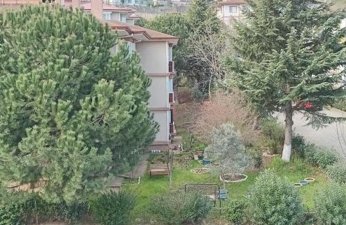 Cinarcik House | mai AK pansiyon