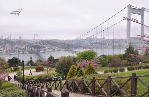 Sultanahmet Apartment | Medellin Apart Hotel Istanbul