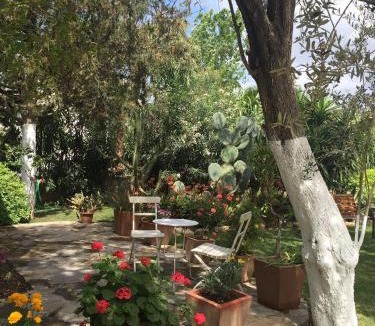 Bitez Apartment | Meis Hotel