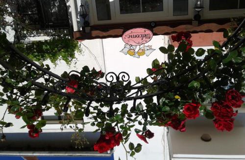 Foca Hotel | Melaike Hotel