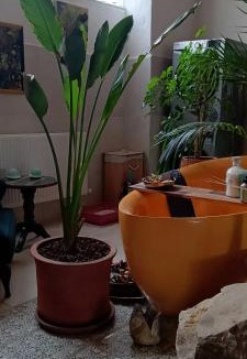 Derekoy House | mor salkım bahçe