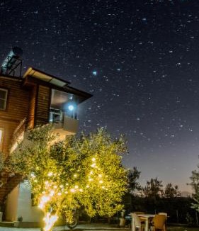 Zeytinli Other | Oli Camping & Bungalows
