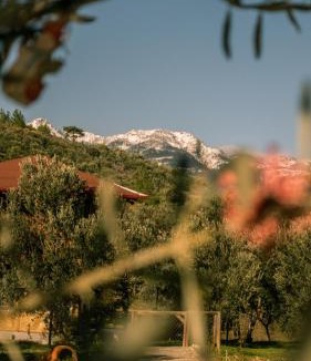 Zeytinli Other | Oli Camping & Bungalows
