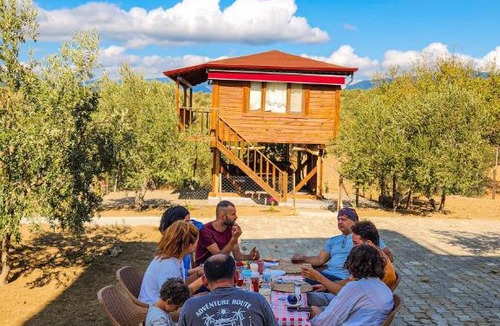 Zeytinli Other | Oli Kazdağları