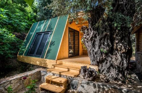 Mesudiye Bed & Breakfast | Petrinos Butik Otel