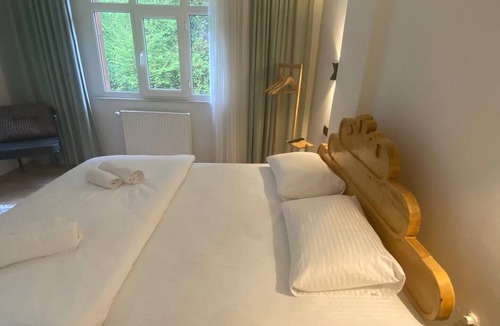 Ayder Apartment | Pine Suit with city view