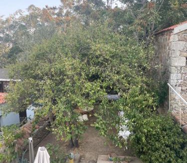 Bozcaada Villa | Sakin Bozcaada