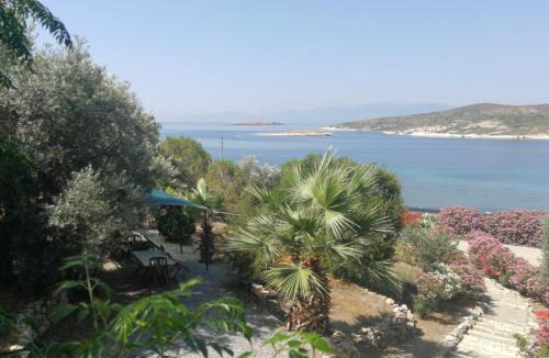Foca House | Teras Motel