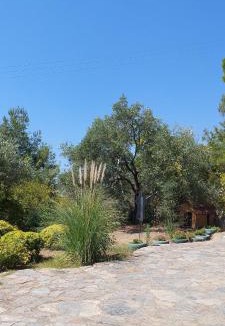 Altinoluk Bed & Breakfast | The Stone House