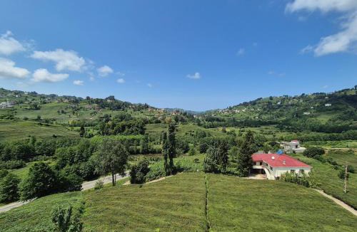 Of Villa | Trabzon rize