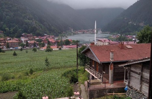 Uzungol Apartment | Uzungöl Sakin Pansiyon