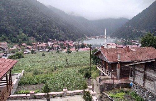 Uzungol Apartment | Uzungöl Sakin Pansiyon