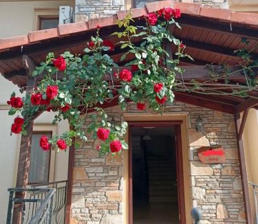 Dalyan City Center Villa | Villa Caretta Luna