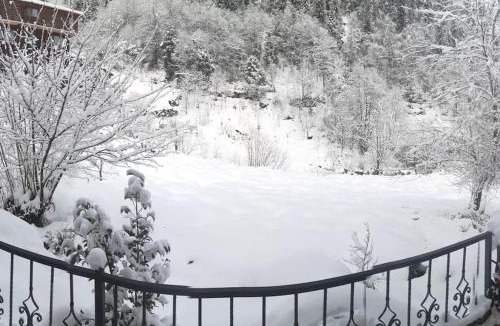 Ayder Villa | Villa Dorchinn