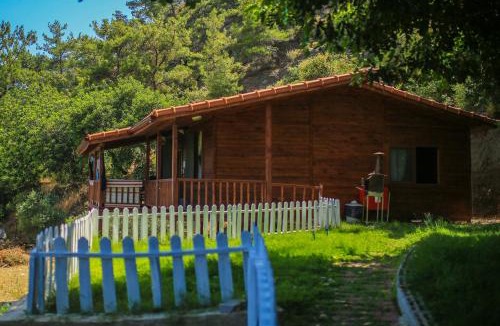 Cirali House | Villa Zeytin