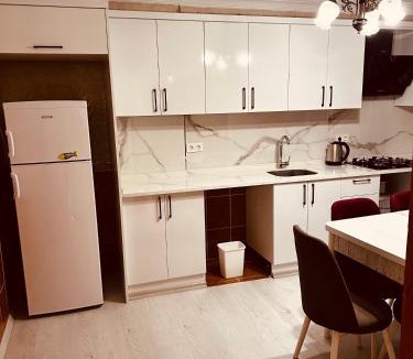 Uzungol Apartment | ZEREN APART 2 CENTRUM