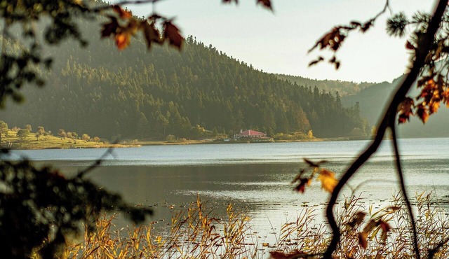 Abant Doga Kosku in Bolu