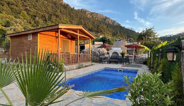 Afera Koy Evi