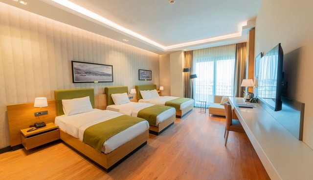 Artes Hotel in Defne