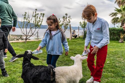 Assos Alis Farm Boutique Hotel & Spa in Canakkale