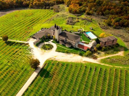 Bakucha Vineyard Hotel ve Spa in Lüleburgaz