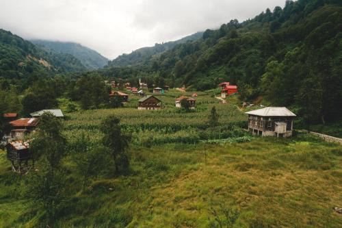 Deremezra Tatil Köyü in Ardesen
