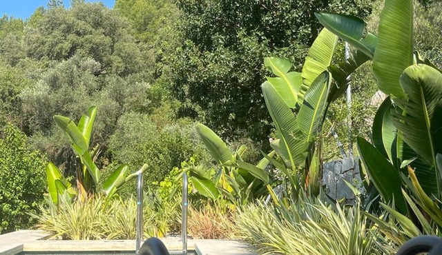 Elmalı Guest House A simple, serene, and deeply peaceful life awaits you! in Muğla