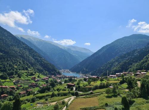Erkonak Pansiyon in Uzungöl