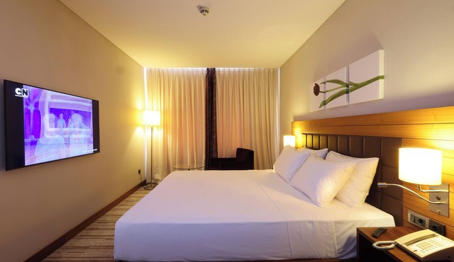 Hilton Garden Inn Konya, Turkey in Konya