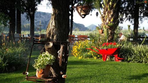 Hotel Happy Caretta in Dalyan