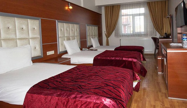 Kafkas Ari Hotel in Ardahan