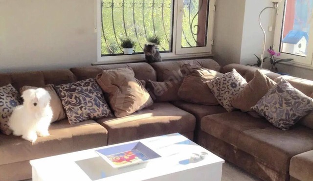 Modern Room in Maslak in ISTANBUL