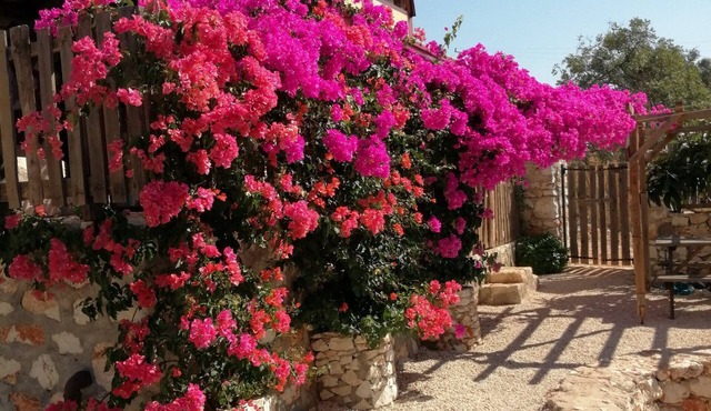 Old village restored stone house with gardens and parking. in Demre