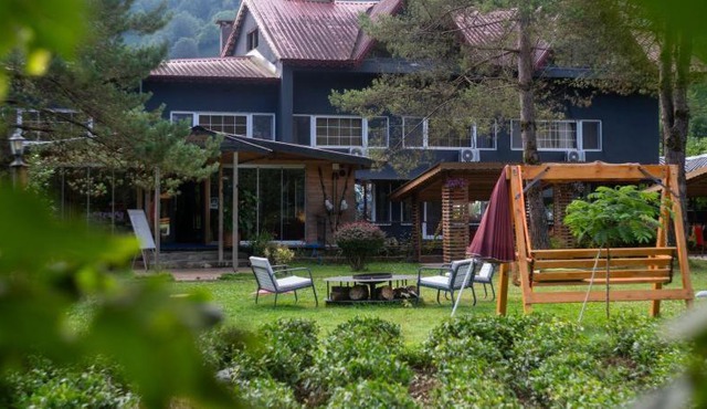 pınar kır evi in Artvin