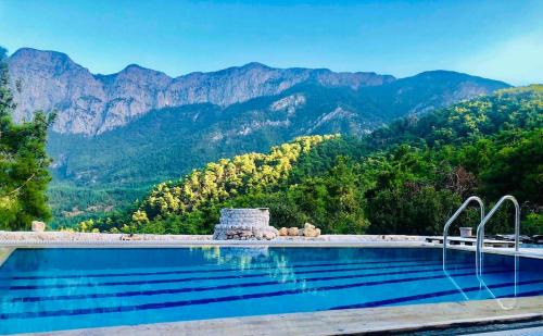 Private Pool Villa - Geyikbayiri