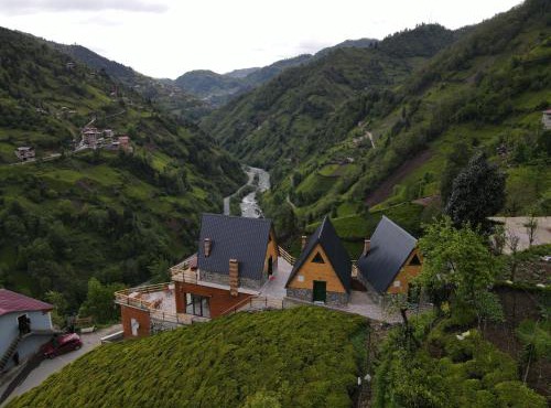 Puleri Dağevi&BUNGALOW in Çamlıhemşin