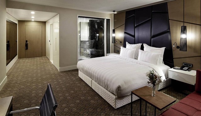 Pullman Istanbul Airport and Convention Center Hotel in Istanbul