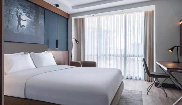 Radisson Blu Hotel Ankara Cankaya in Ankara