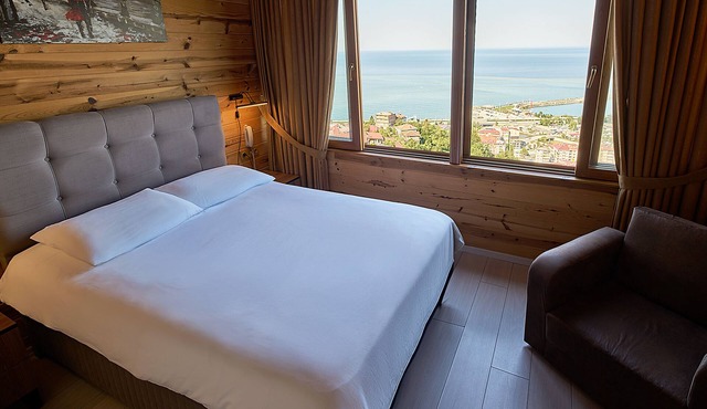 Sari Kosk Hotel in Çayeli