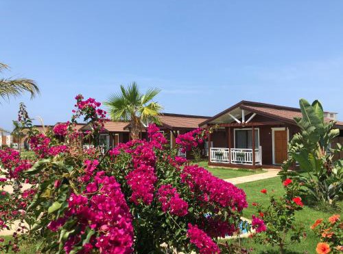 Sedir Park - Beach Bungalow in Kargicak