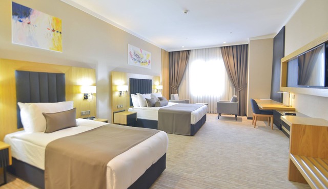 Serenity Comfort Hotel in Istanbul