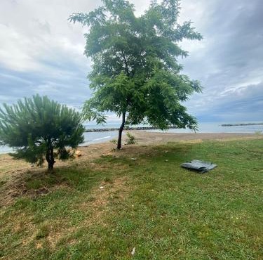 SEZGİN KARGI - Günübirlik Turizm Evleri in Ordu