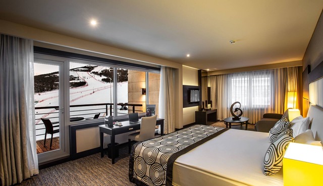 Sway Hotels in Erzurum