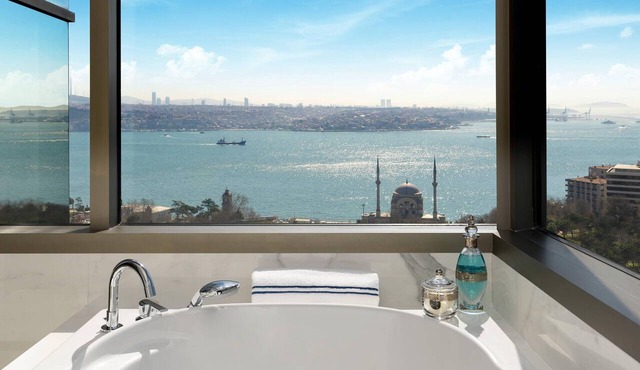 The Ritz-Carlton, Istanbul in Istanbul